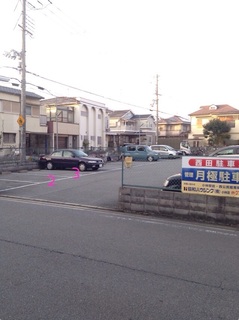 image.jpg